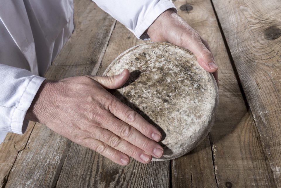 Découvrez notre nouvelle Tomme fondante au chèvre