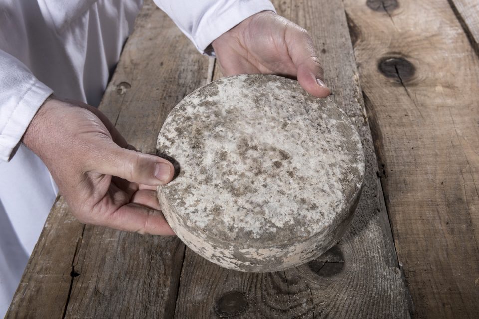 Médaille de la meilleure Tomme de Savoie laitière grasse