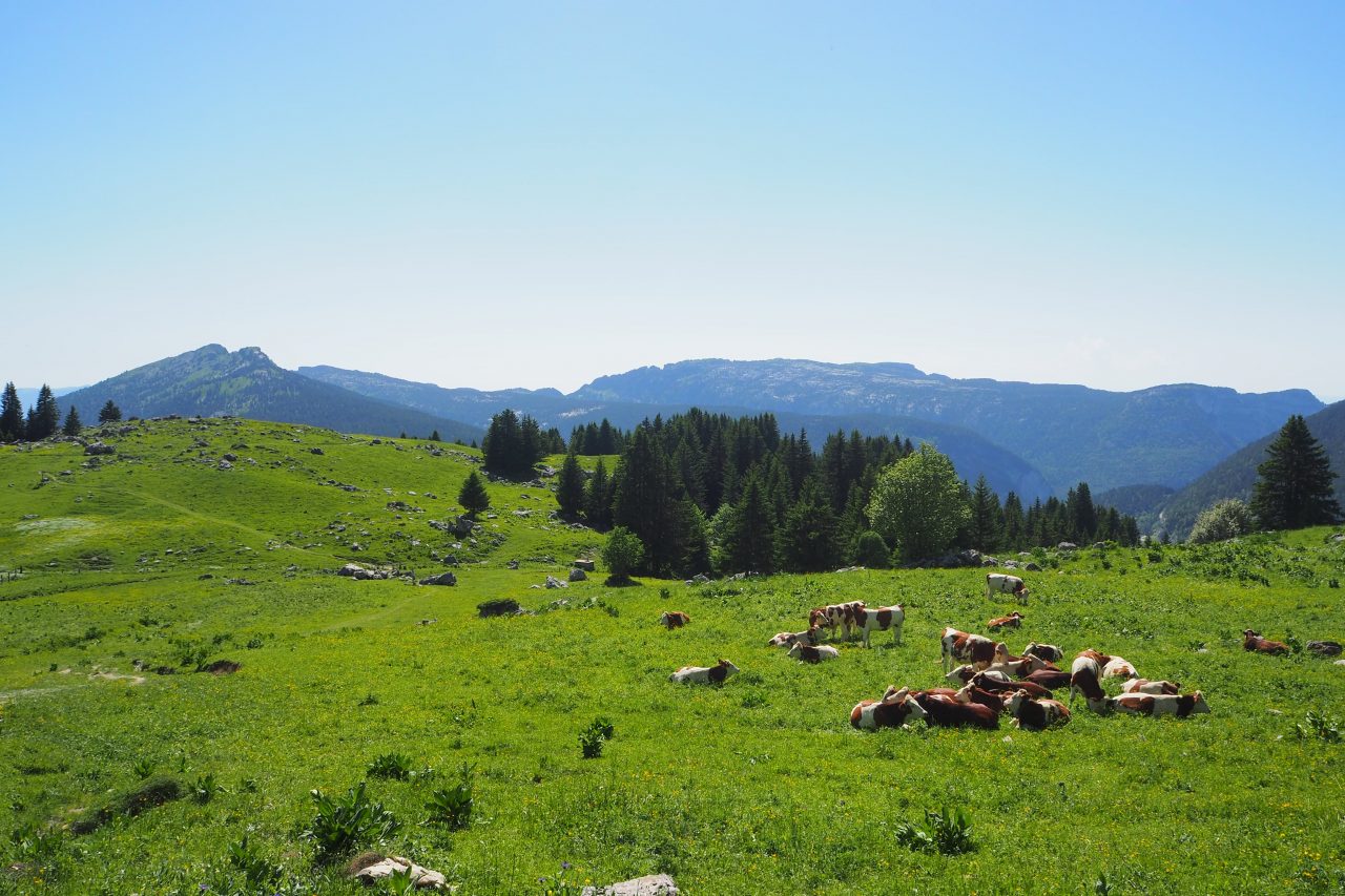 Protection de l’environnement : les 2 Savoie tracent la route