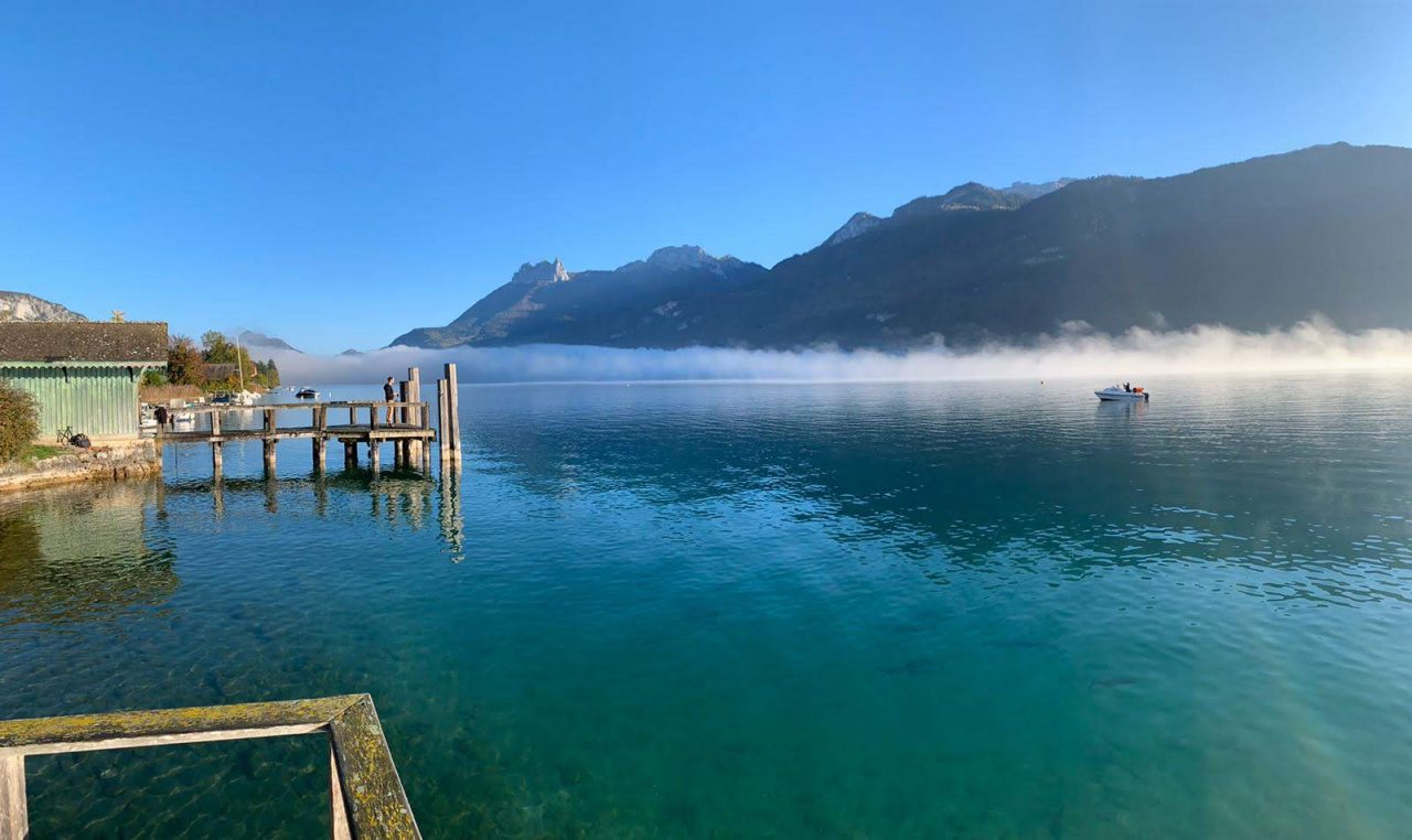 Le Lac d’Annecy et la faune lacustre : un trésor de biodiversité